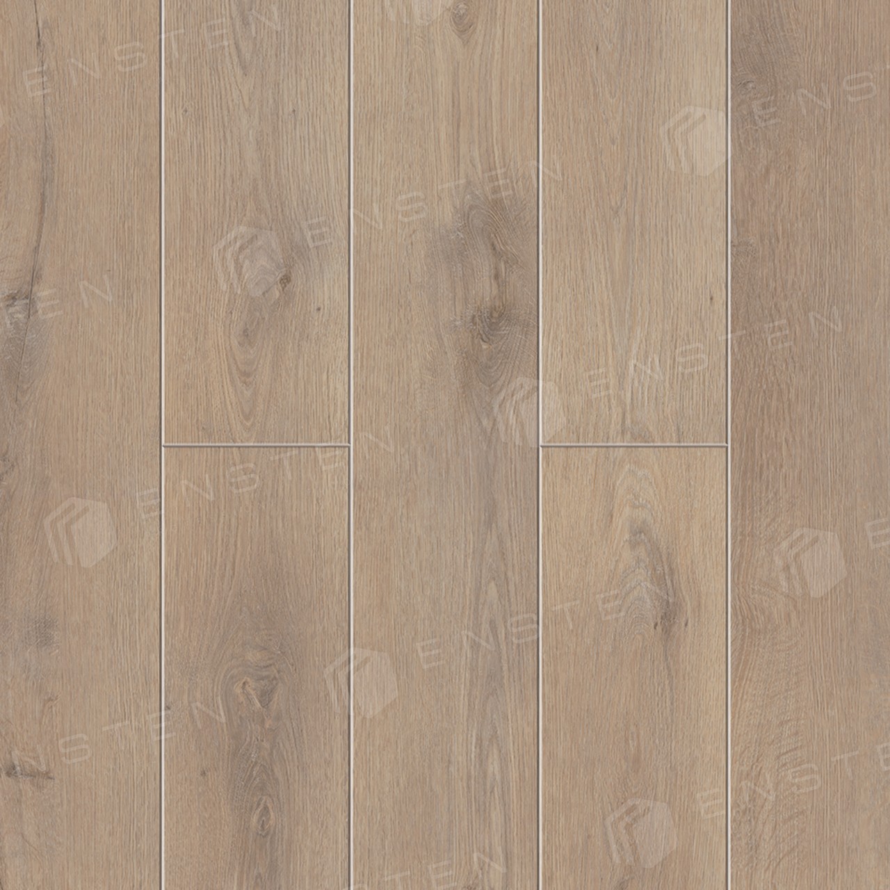 ECO 102-20 Примула