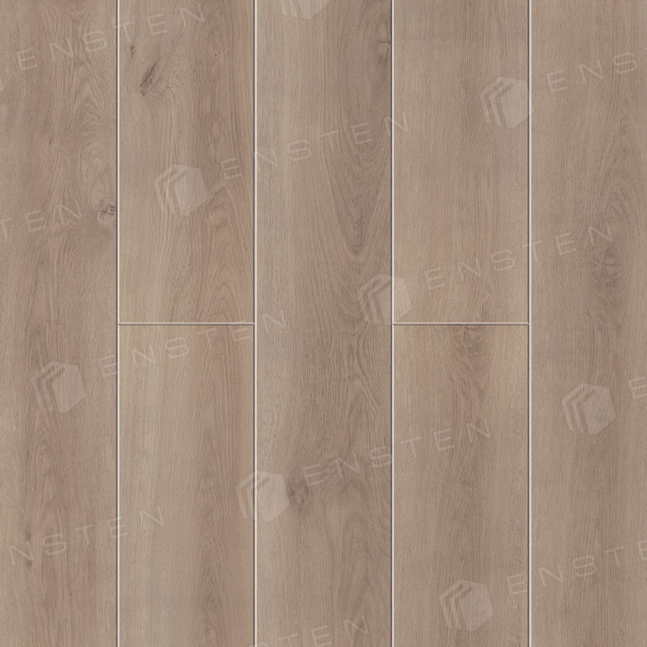 ECO 102-12 Камелия